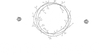 Chic Bridals