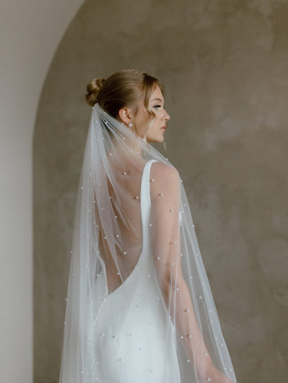 Chic Bridals Wedding Dresses Pearl Scattered Veil Danika Lace Dress | Ball Gowns Toronto  Wedding Gowns